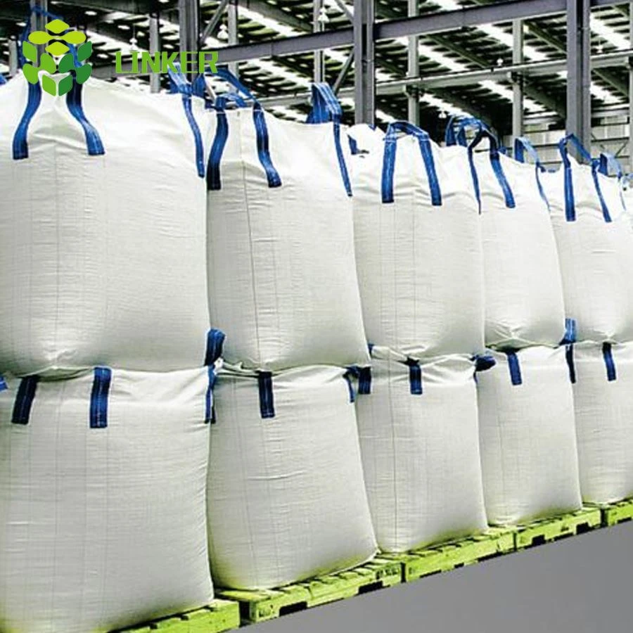 1000kg liela soma